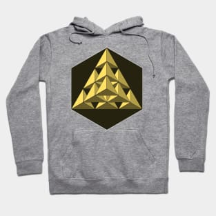 Gold Triangles 3 Hoodie